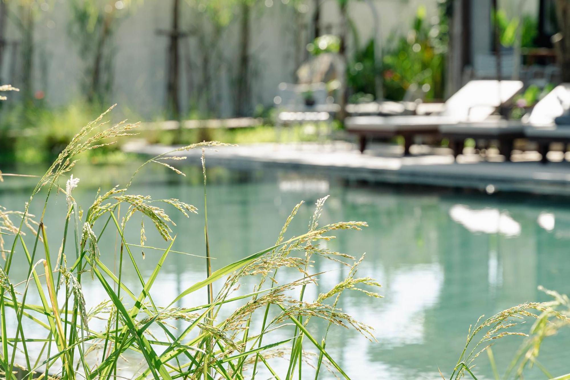 Le Chanthou Boutique Siem Reap Exterior photo