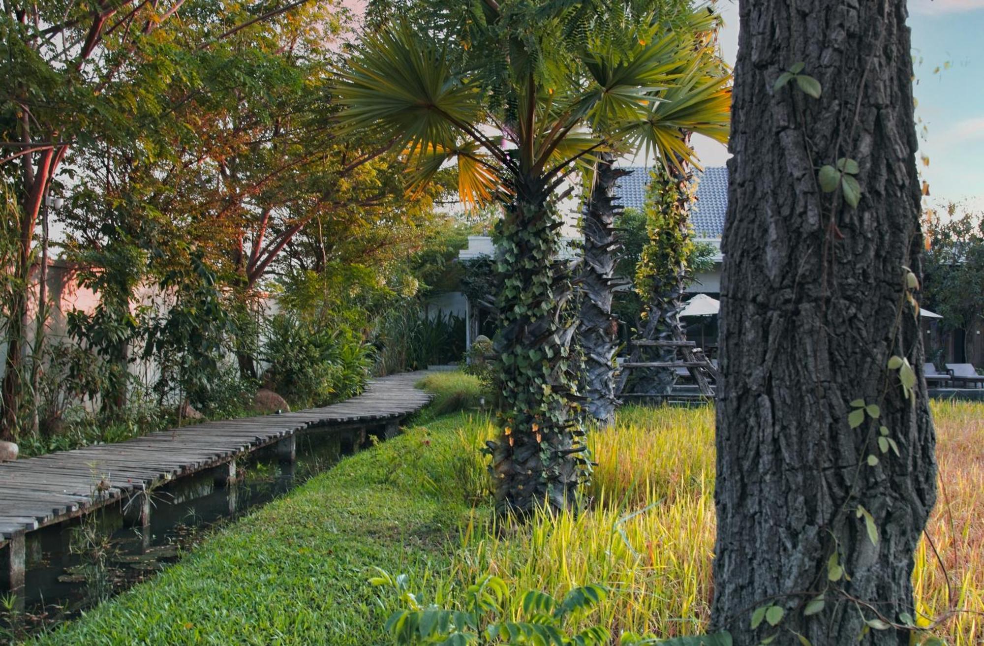 Le Chanthou Boutique Siem Reap Exterior photo